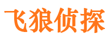 合川市侦探调查公司